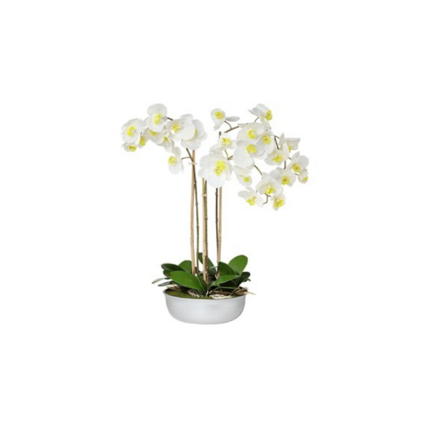 ORCHID PLANTER