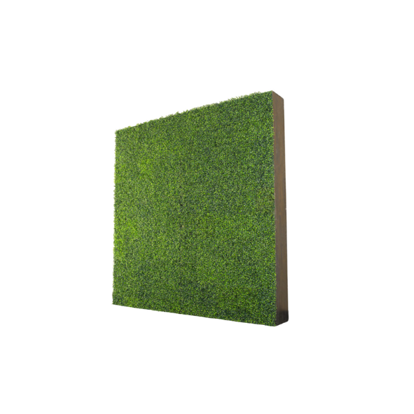 BOXWOOD WALLS