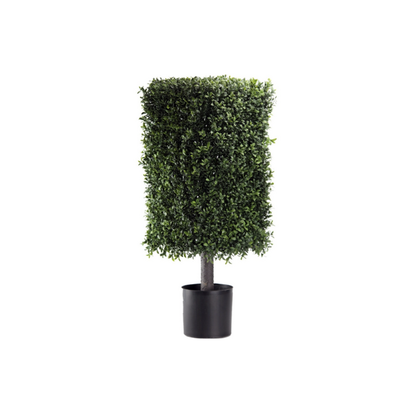 BOXWOOD TOPIARY