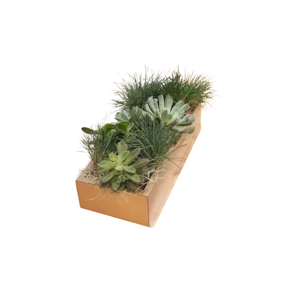 SUCCULENT PLANTER