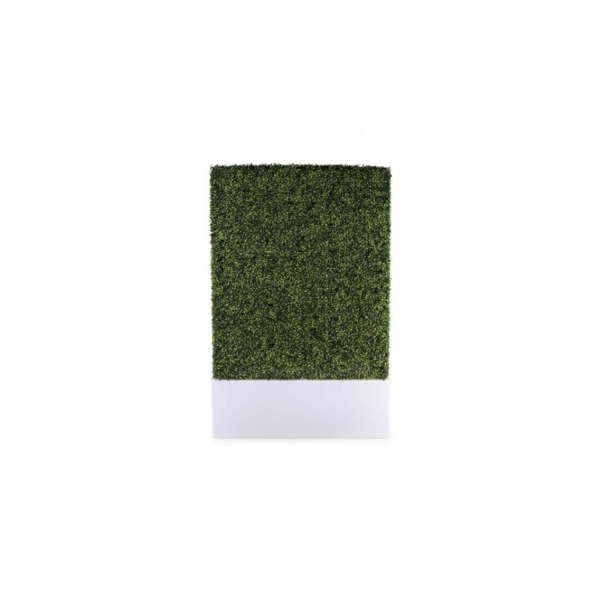 DECOR BOXWOOD HEDGE