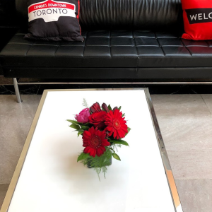 Red Arrangement