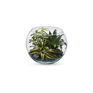 Tranquility Terrarium
