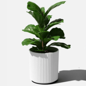 Demi Planter