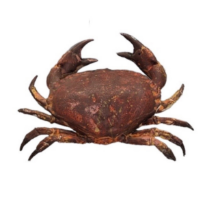 Decorative Crab
