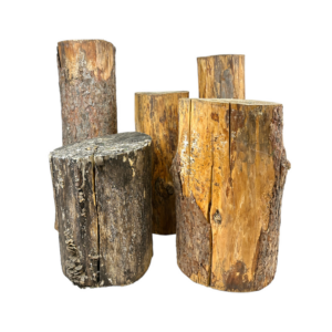 Natural Tree Stumps