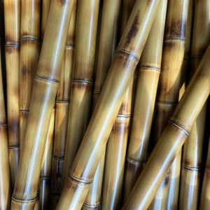 Bamboo Poles